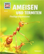 Ameisen und Termiten: fleißige Baumeister