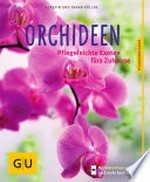 Orchideen [pflegeleichte Exoten fürs Zuhause]