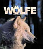 Wölfe: das neue Bild vom scheuen Jäger