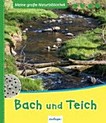 Bach und Teich