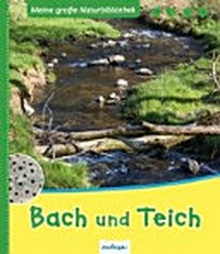 Bach und Teich