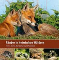 Räuber in heimischen Wäldern: Fuchs, Dachs, Marderhund und Waschbär